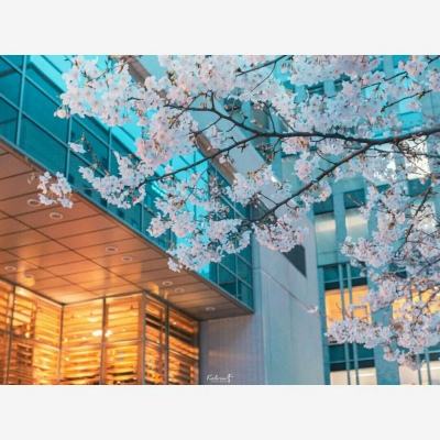 官方盈彩app下载截图