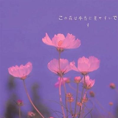 购彩中心手机app下载